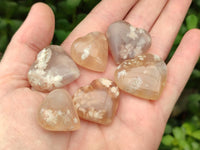 Polished Flower Agate Hearts x 35 From Antsahalova, Madagascar