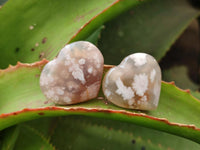 Polished Flower Agate Hearts x 35 From Antsahalova, Madagascar