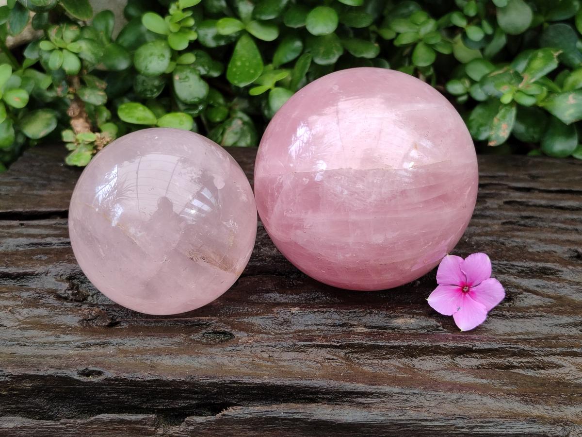 Polished Gemmy Star Rose Quartz Spheres x 2 From Madagascar