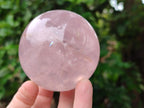 Polished Gemmy Star Rose Quartz Spheres x 2 From Madagascar - Toprock Gemstones and Minerals 