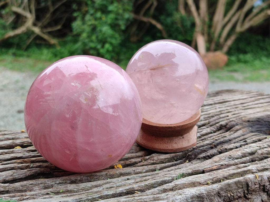 Polished Gemmy Star Rose Quartz Spheres x 2 From Madagascar - Toprock Gemstones and Minerals 