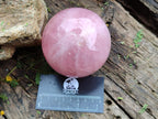 Polished Gemmy Star Rose Quartz Spheres x 2 From Madagascar - Toprock Gemstones and Minerals 