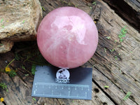 Polished Gemmy Star Rose Quartz Spheres x 2 From Madagascar