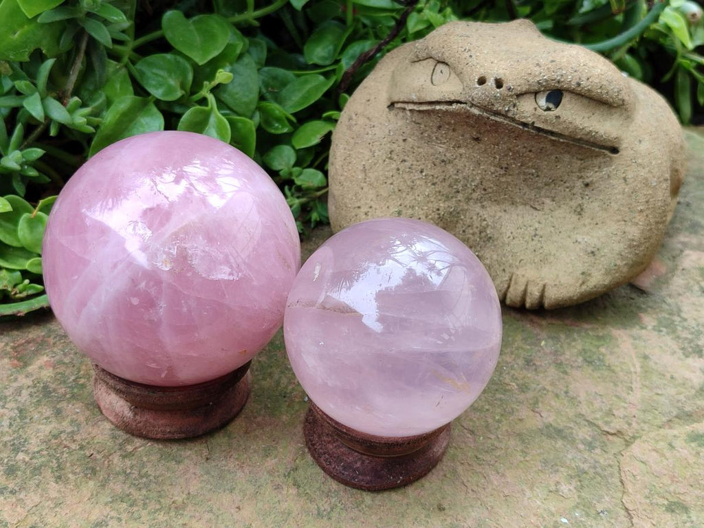 Polished Gemmy Star Rose Quartz Spheres x 2 From Madagascar - Toprock Gemstones and Minerals 