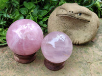 Polished Gemmy Star Rose Quartz Spheres x 2 From Madagascar