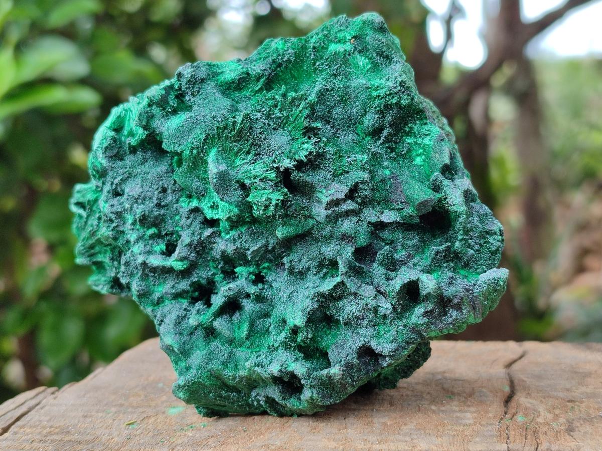 Natural Silky Malachite Specimens x 3 From Kasompe, Congo