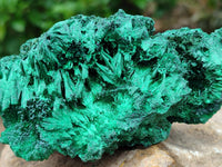 Natural Silky Malachite Specimens x 3 From Kasompe, Congo
