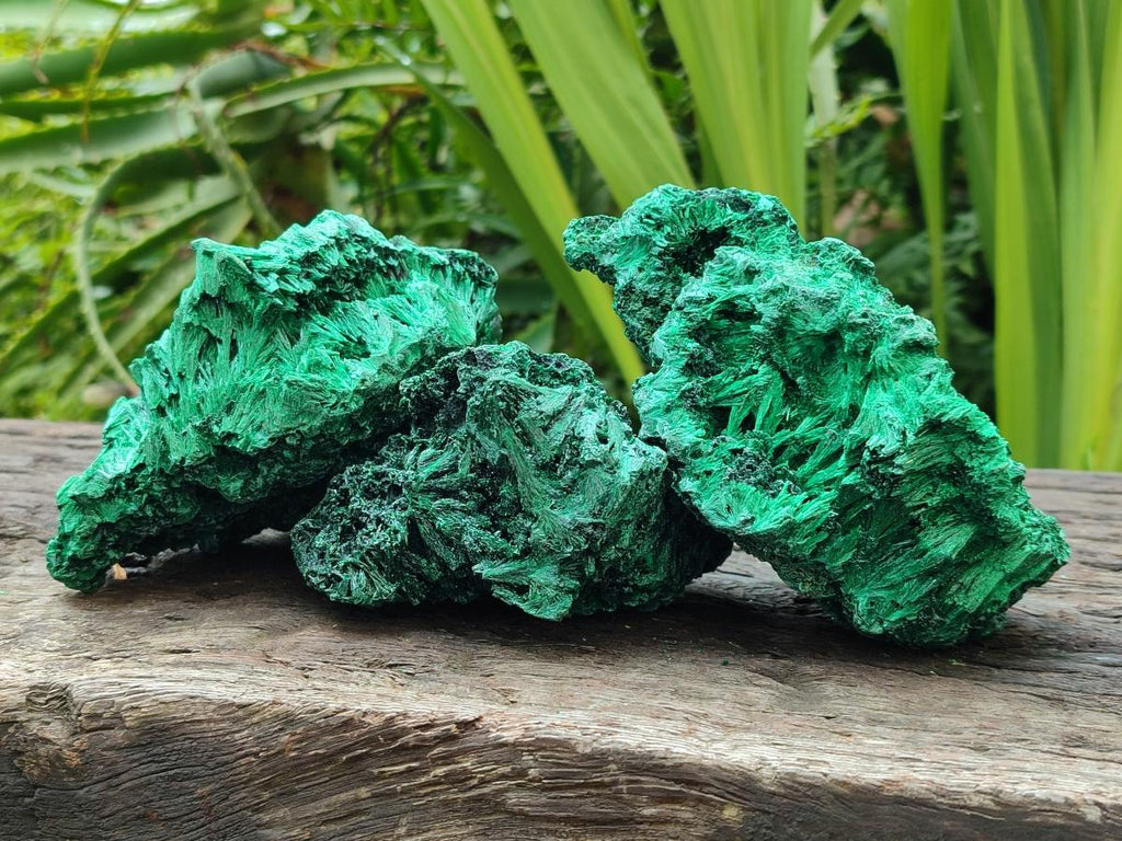 Natural Silky Malachite Specimens x 3 From Kasompe, Congo