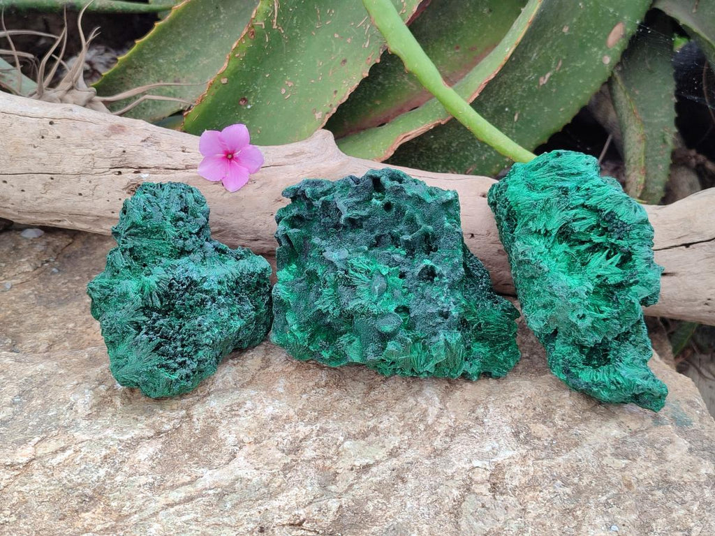 Natural Silky Malachite Specimens x 3 From Kasompe, Congo