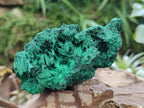 Natural Silky Malachite Specimens x 3 From Kasompe, Congo