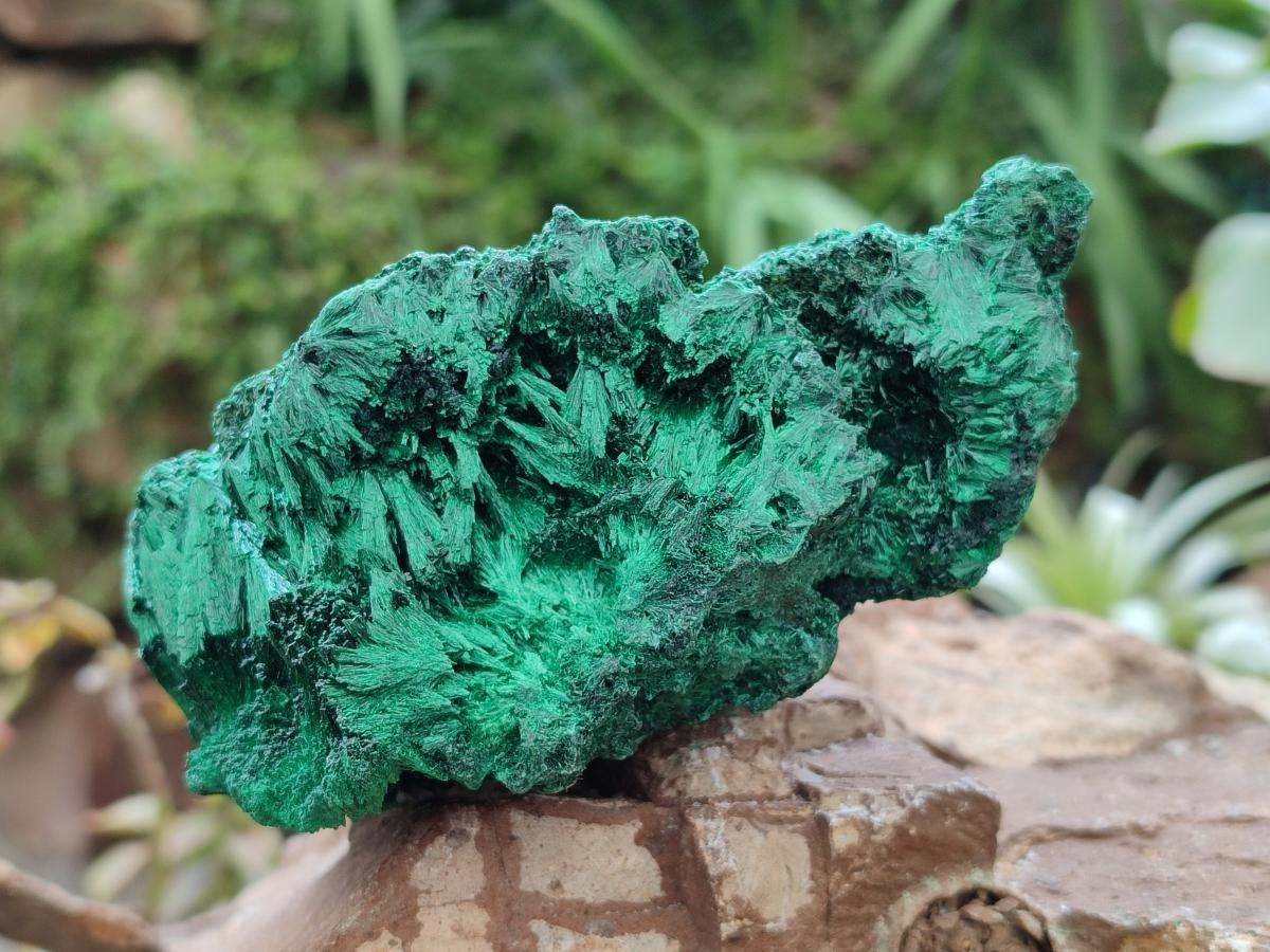 Natural Silky Malachite Specimens x 3 From Kasompe, Congo