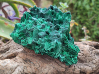Natural Silky Malachite Specimens x 3 From Kasompe, Congo