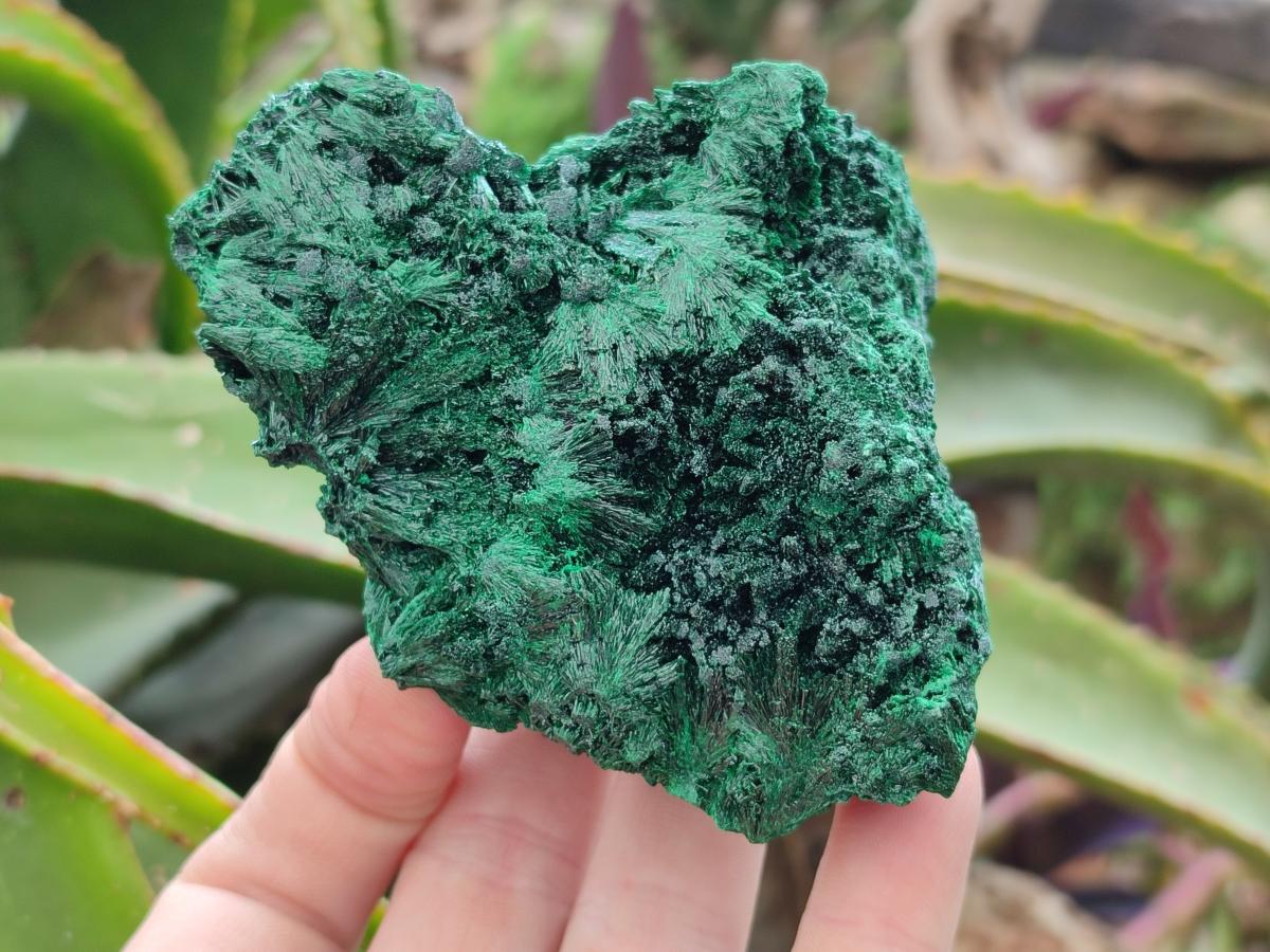 Natural Silky Malachite Specimens x 3 From Kasompe, Congo