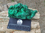 Natural Silky Malachite Specimens x 3 From Kasompe, Congo