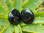 Polished Black Tourmaline Galets x 35 From Madagascar