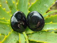 Polished Black Tourmaline Galets x 35 From Madagascar