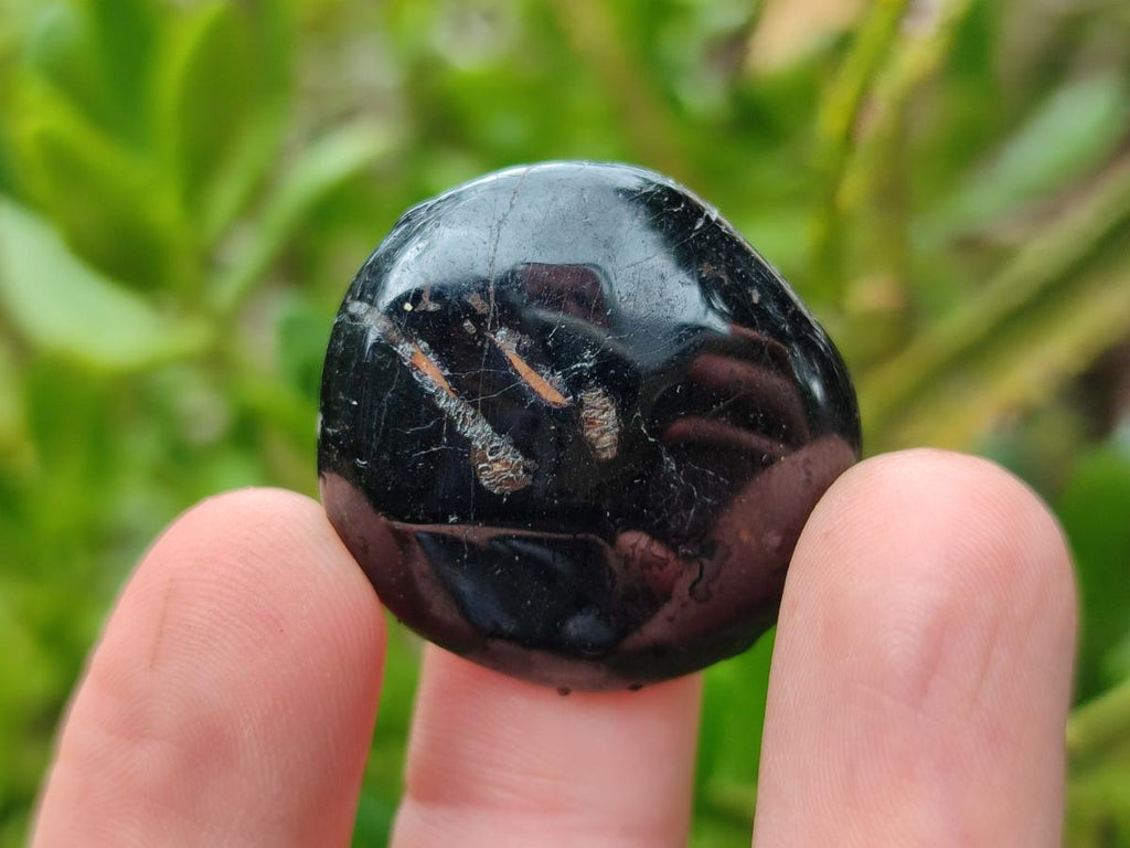 Polished Black Tourmaline Galets x 35 From Madagascar