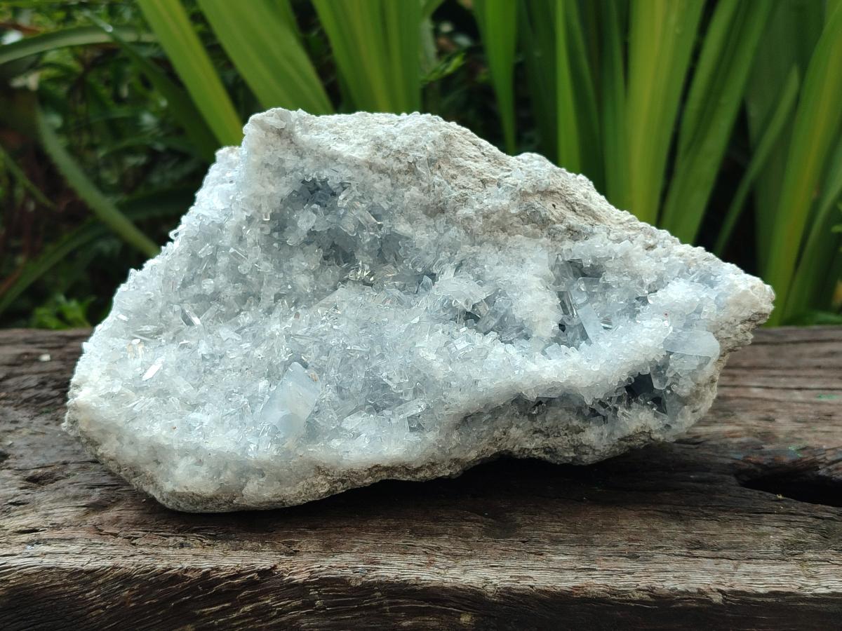 Natural Acicular Ice Blue Celestite Specimen x 1 From Sakoany, Madagascar - Toprock Gemstones and Minerals 
