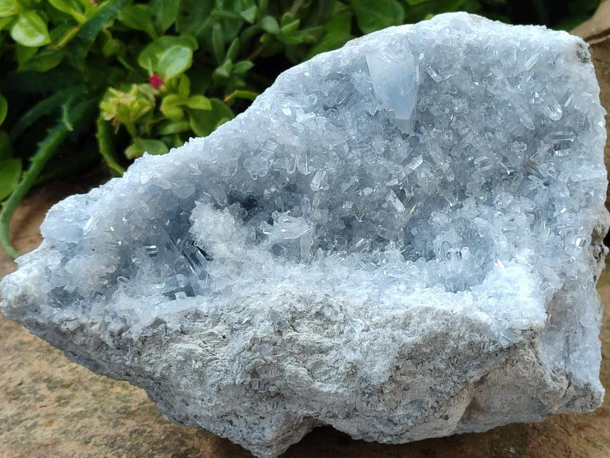 Natural Acicular Ice Blue Celestite Specimen x 1 From Sakoany, Madagascar