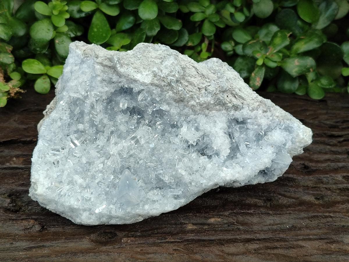 Natural Acicular Ice Blue Celestite Specimen x 1 From Sakoany, Madagascar - Toprock Gemstones and Minerals 