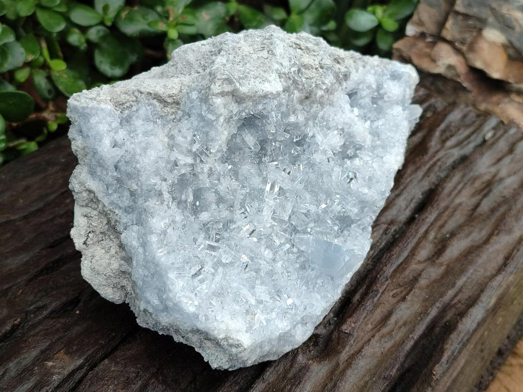 Natural Acicular Ice Blue Celestite Specimen x 1 From Sakoany, Madagascar - Toprock Gemstones and Minerals 