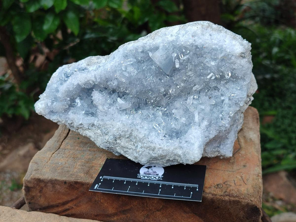 Natural Acicular Ice Blue Celestite Specimen x 1 From Sakoany, Madagascar - Toprock Gemstones and Minerals 