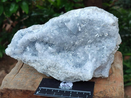 Natural Acicular Ice Blue Celestite Specimen x 1 From Sakoany, Madagascar - Toprock Gemstones and Minerals 