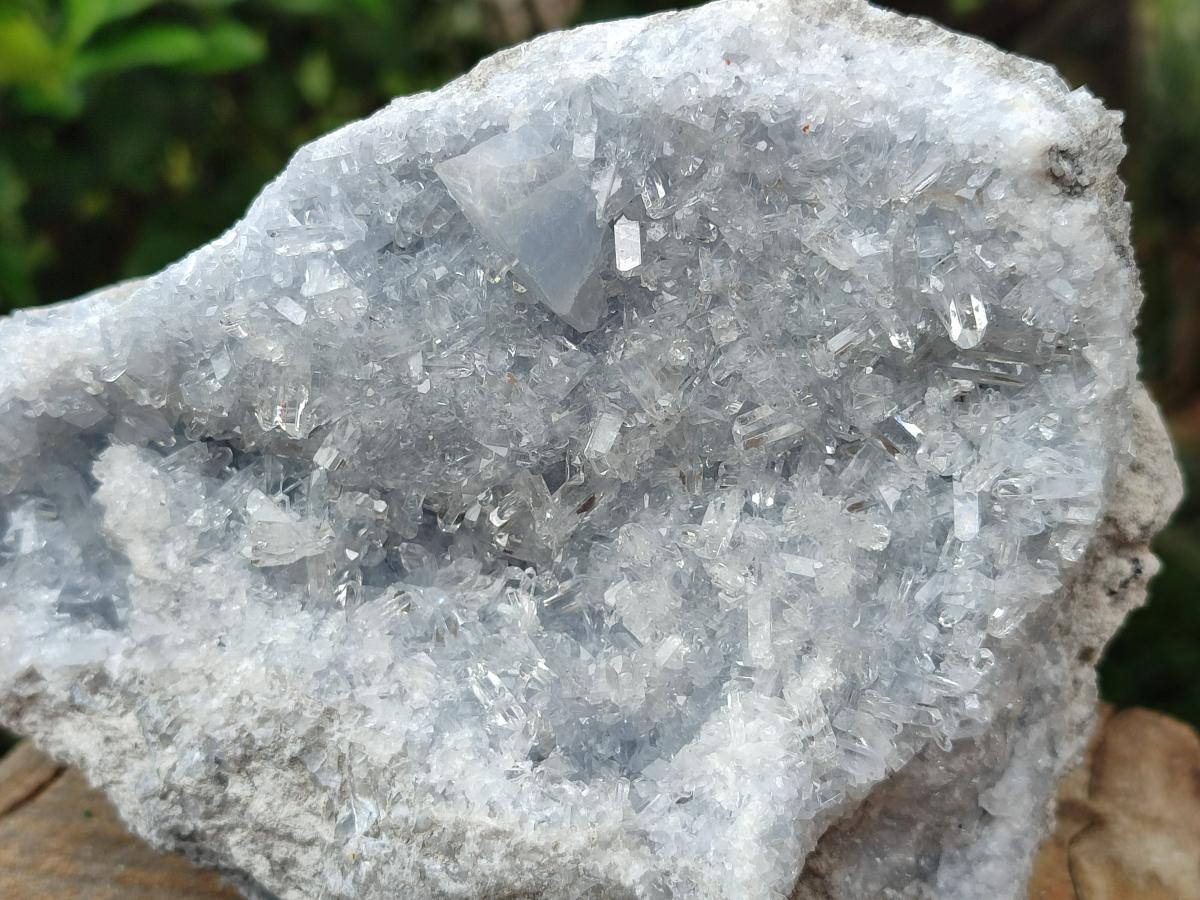 Natural Acicular Ice Blue Celestite Specimen x 1 From Sakoany, Madagascar - Toprock Gemstones and Minerals 