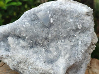 Natural Acicular Ice Blue Celestite Specimen x 1 From Sakoany, Madagascar