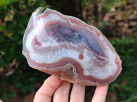 Polished Red Shashe River Agate Nodules x 3 From Shashe River, Zimbabwe