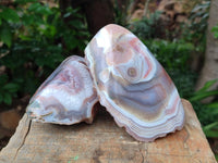 Polished Red Shashe River Agate Nodules x 3 From Shashe River, Zimbabwe