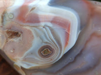 Polished Red Shashe River Agate Nodules x 3 From Shashe River, Zimbabwe