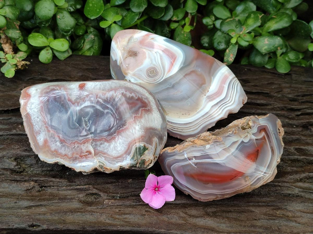 Polished Red Shashe River Agate Nodules x 3 From Shashe River, Zimbabwe