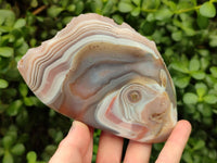 Polished Red Shashe River Agate Nodules x 3 From Shashe River, Zimbabwe