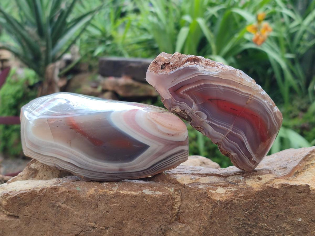Polished Red Shashe River Agate Nodules x 3 From Shashe River, Zimbabwe