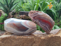 Polished Red Shashe River Agate Nodules x 3 From Shashe River, Zimbabwe