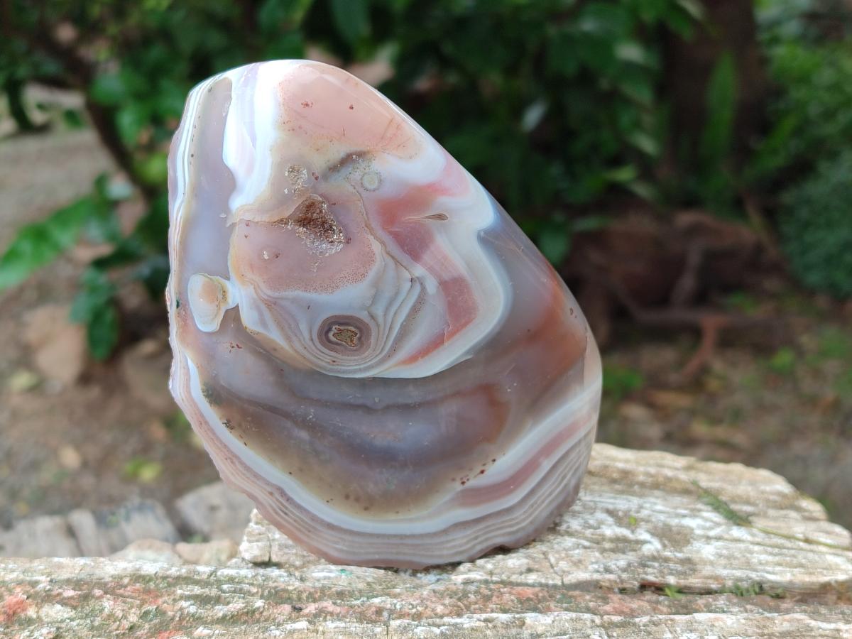 Polished Red Shashe River Agate Nodules x 3 From Shashe River, Zimbabwe