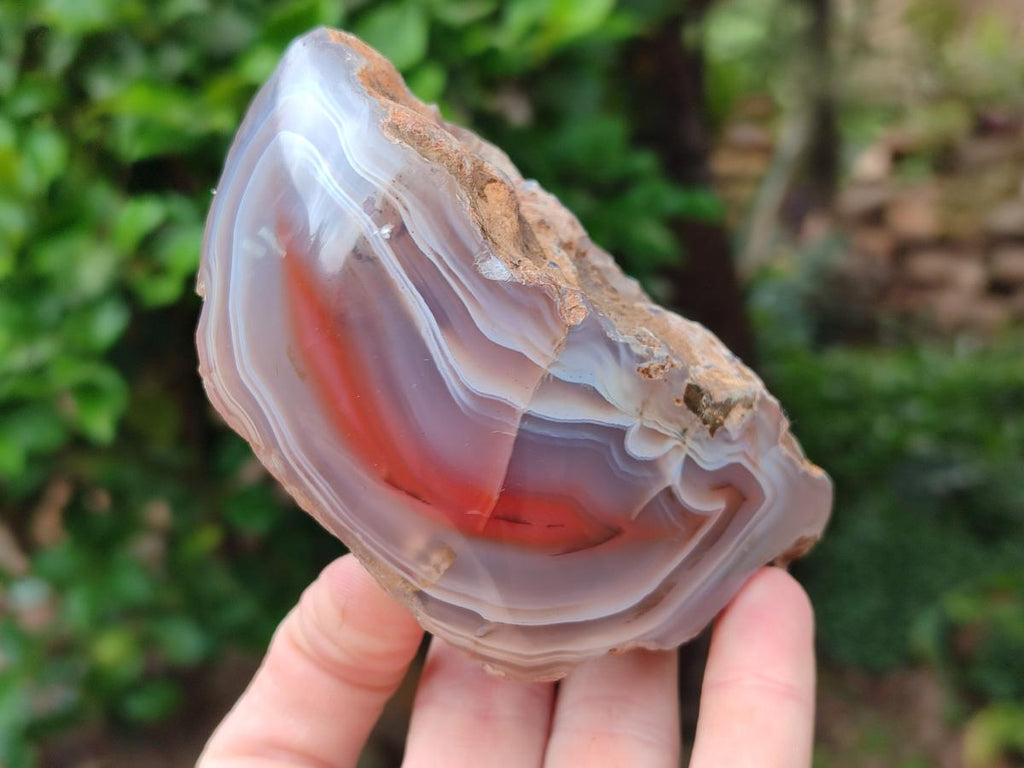 Polished Red Shashe River Agate Nodules x 3 From Shashe River, Zimbabwe