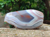 Polished Red Shashe River Agate Nodules x 3 From Shashe River, Zimbabwe