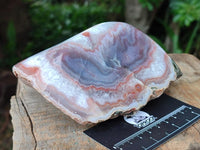 Polished Red Shashe River Agate Nodules x 3 From Shashe River, Zimbabwe