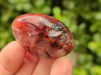Polished Red Hematoid Quartz Galets x 20 From Ambatondrazaka, Madagascar
