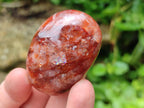 Polished Red Hematoid Quartz Galets x 20 From Ambatondrazaka, Madagascar