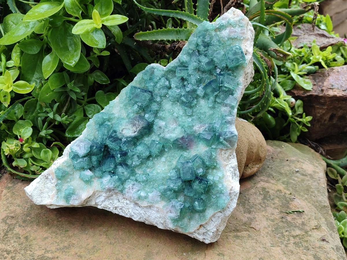Natural XL Cubic Green Fluorite Cluster Specimen x 1 From Mandrosonoro, Madagascar