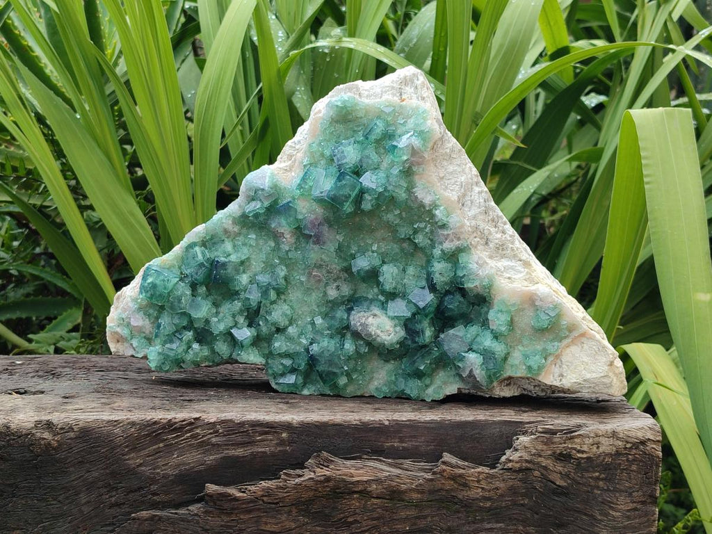 Natural XL Cubic Green Fluorite Cluster Specimen x 1 From Mandrosonoro, Madagascar