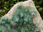 Natural XL Cubic Green Fluorite Cluster Specimen x 1 From Mandrosonoro, Madagascar