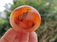 Polished Carnelian Agate Gemstone Galets x 24 From Madagascar