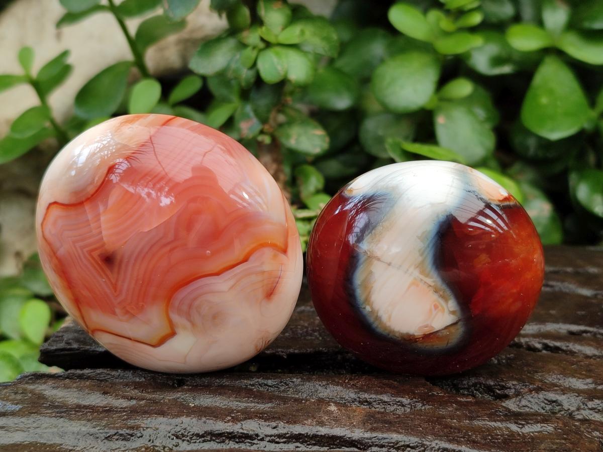 Polished Carnelian Agate Gemstone Galets x 24 From Madagascar