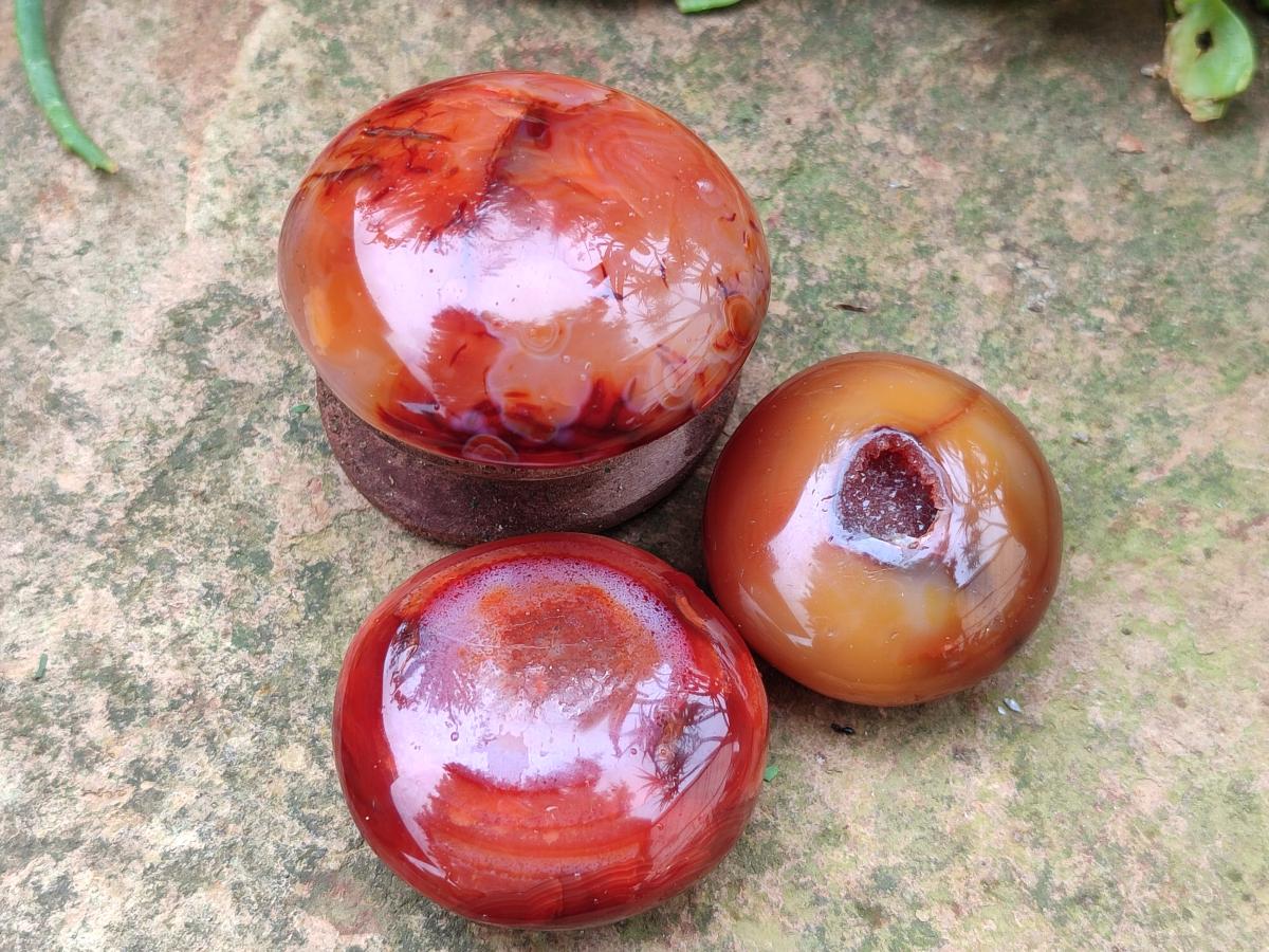 Polished Carnelian Agate Gemstone Galets x 24 From Madagascar