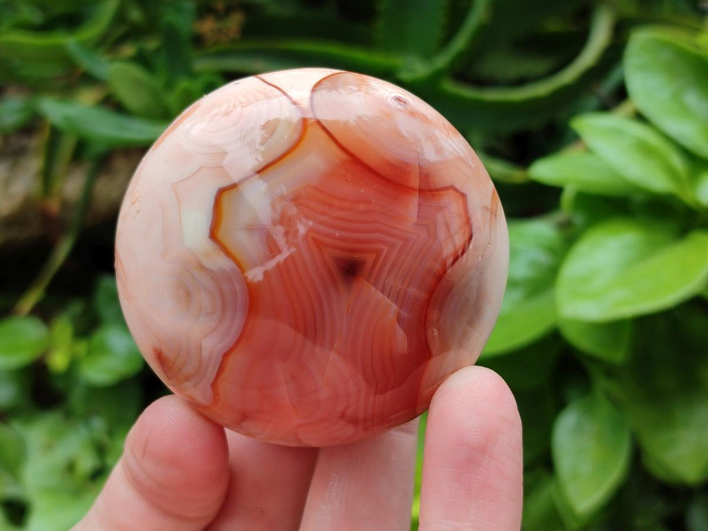 Polished Carnelian Agate Gemstone Galets x 24 From Madagascar