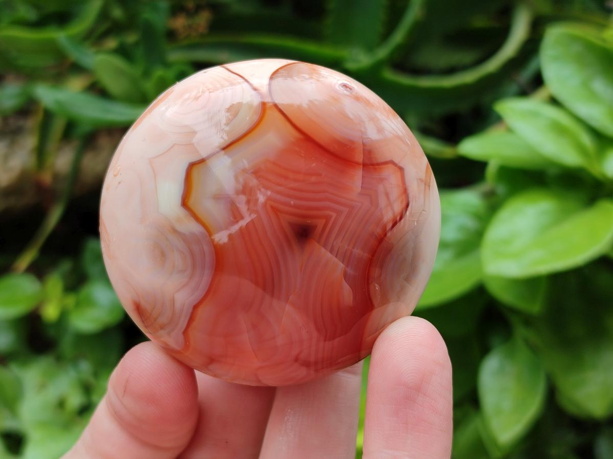 Polished Carnelian Agate Gemstone Galets x 24 From Madagascar